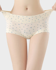 Pack de 4 panties de algodón sin costuras de cintura alta con máximo confort