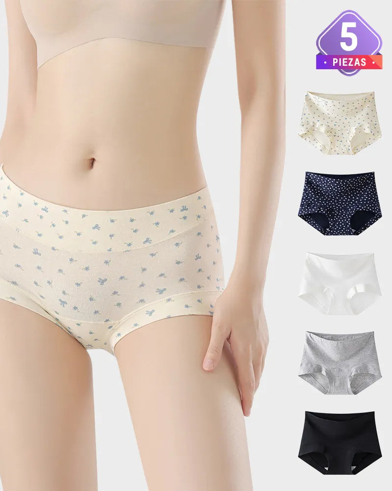 Pack de 4 panties de algodón sin costuras de cintura alta con máximo confort