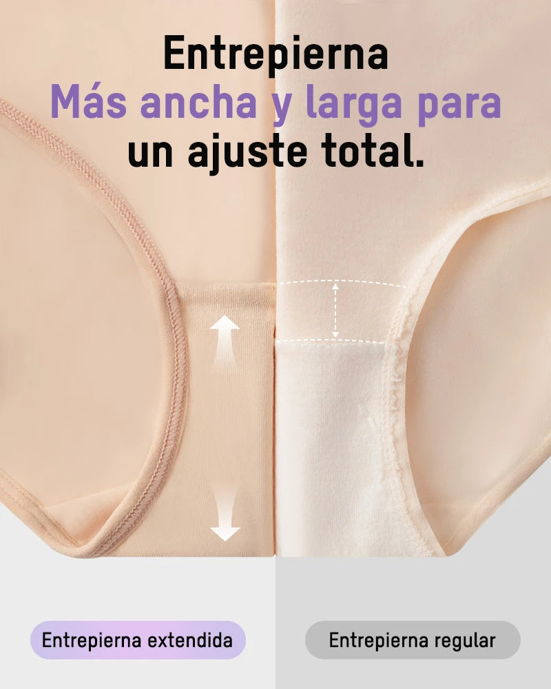 Paquete de 5 Panties de Cintura Alta para Talla Grande con Control de Abdomen